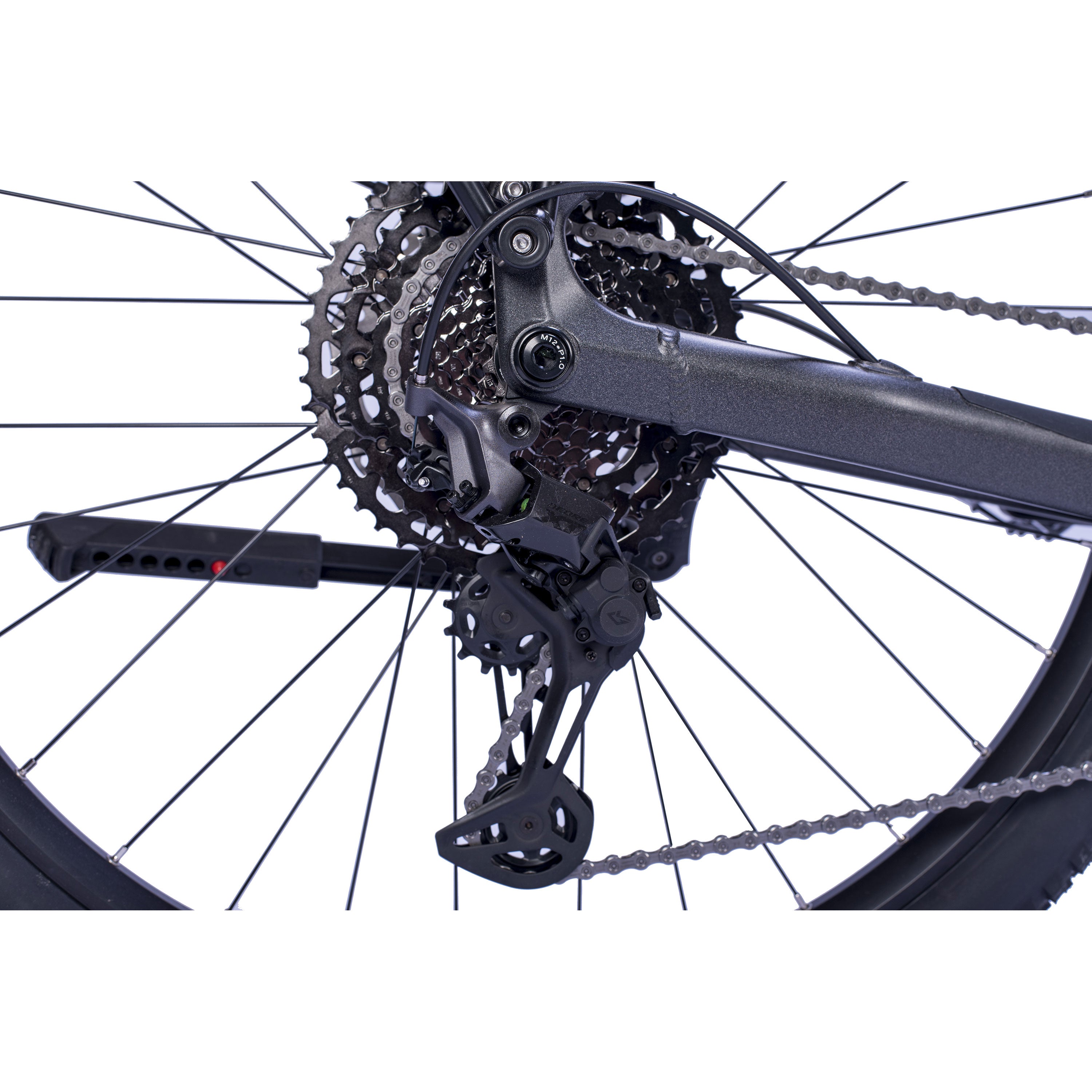 29" MTB E-SUV da uomo STREAMER CX11 BOSCH Performance Line CX (Gen 5) Smart System POWERTUBE 600 Wh 11 velocità SHIMANO XT RD-M8130 SGS