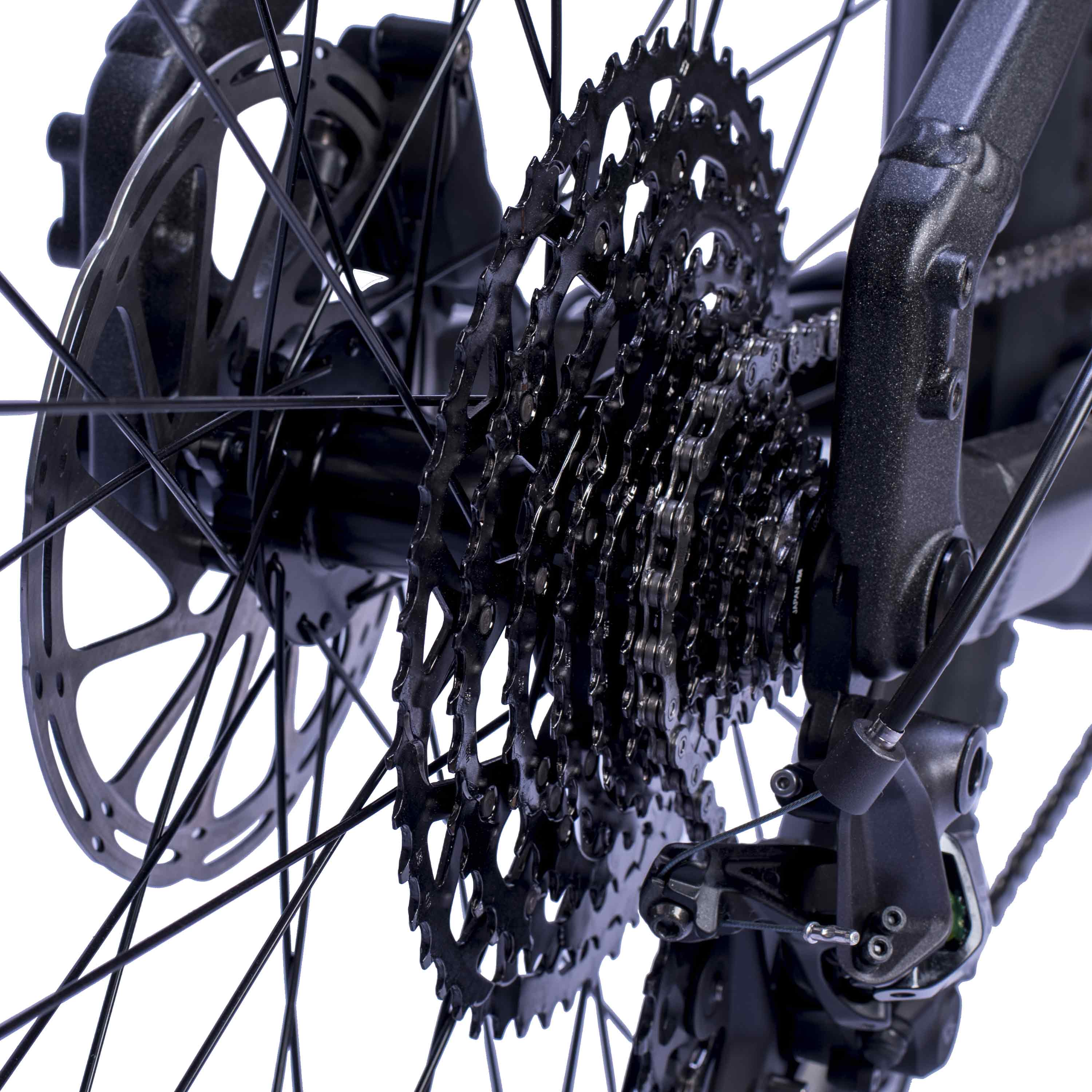 29" Herren E-SUV MTB STREAMER CX11 BOSCH PERFORMANCE LINE CX (GEN 5) Smart System POWERTUBE 600 Wh 11 x GANG SHIMANO XT RD-M8130 SGS Schwarz