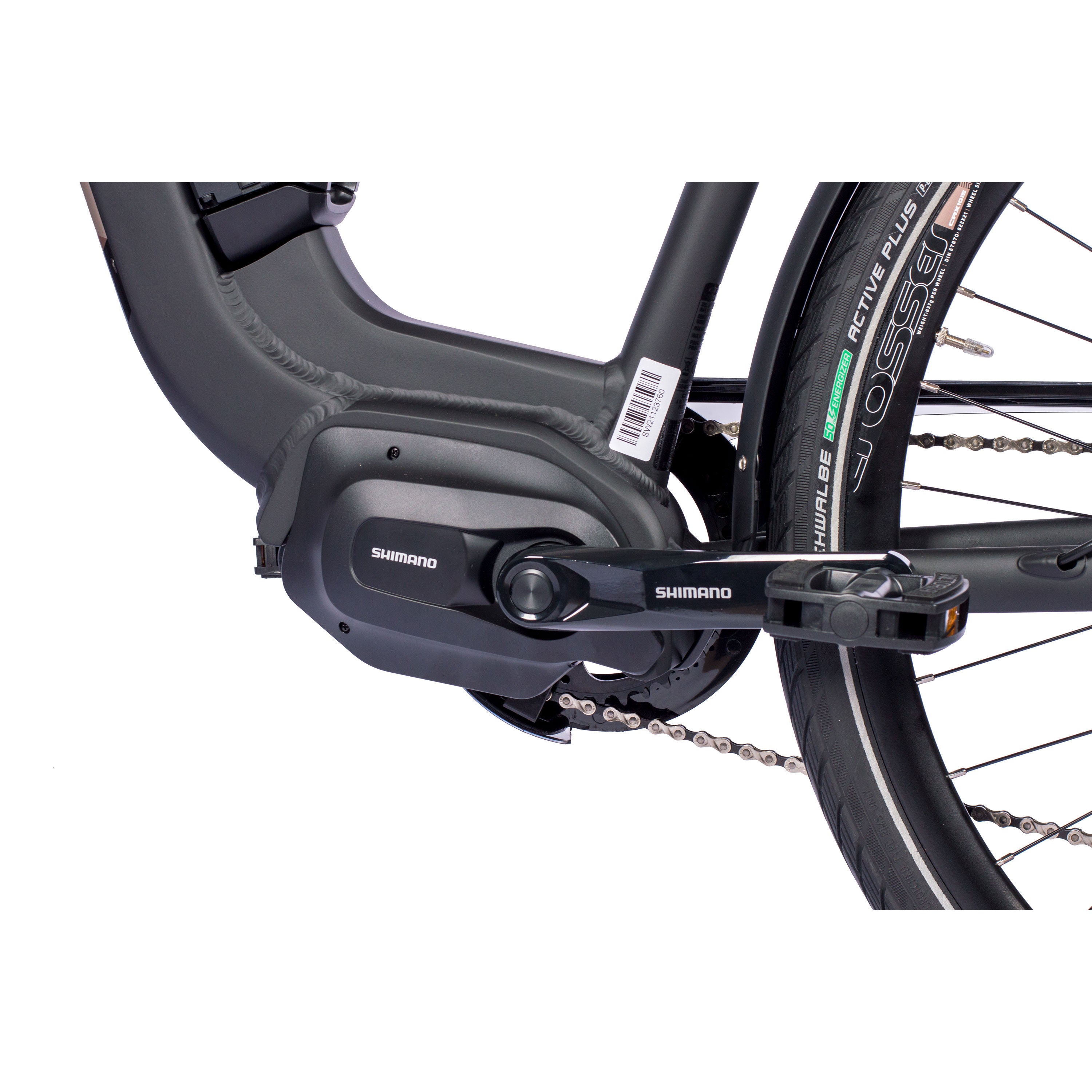 VTronStepsRDLS2024_3000_15