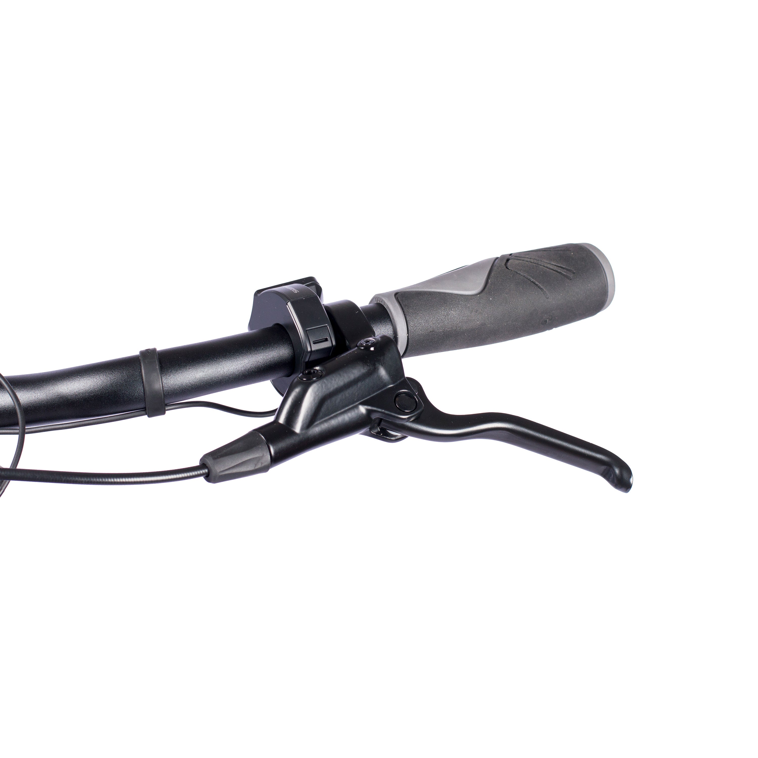 VTronStepsRDLS2024_3000_19