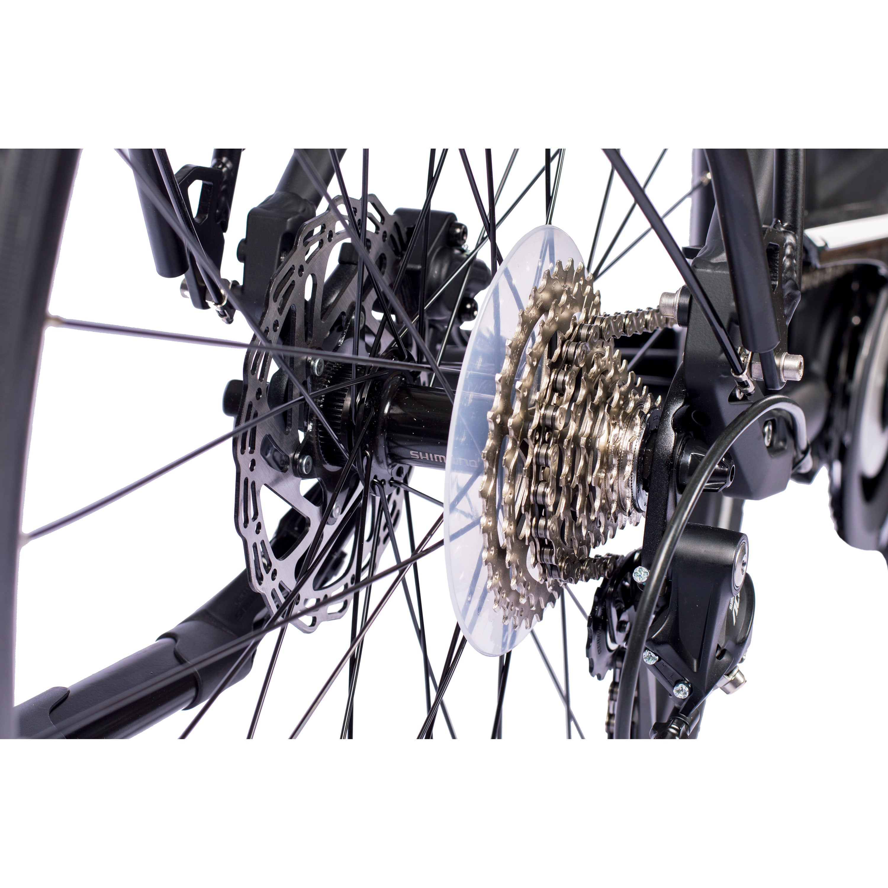 VTronStepsRDLS2024_3000_8