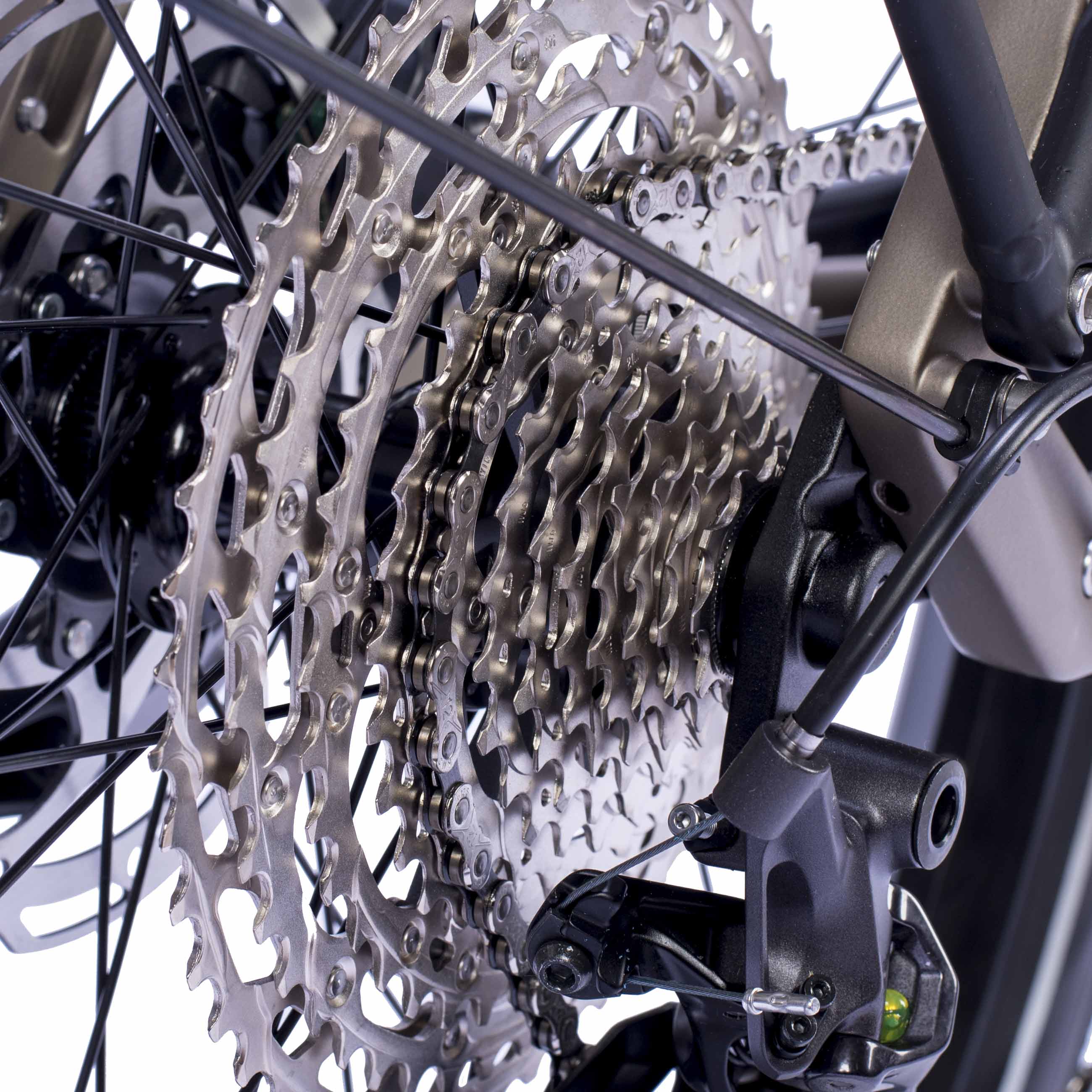 27,5" Dames E-SUV MTB Wave LS TERRA CX1 BOSCH PERFORMANCE LINE CX (Gen 5) Smart System POWERTUBE 800 Wh 12-versnellingen SHIMANO XT RD-M8100