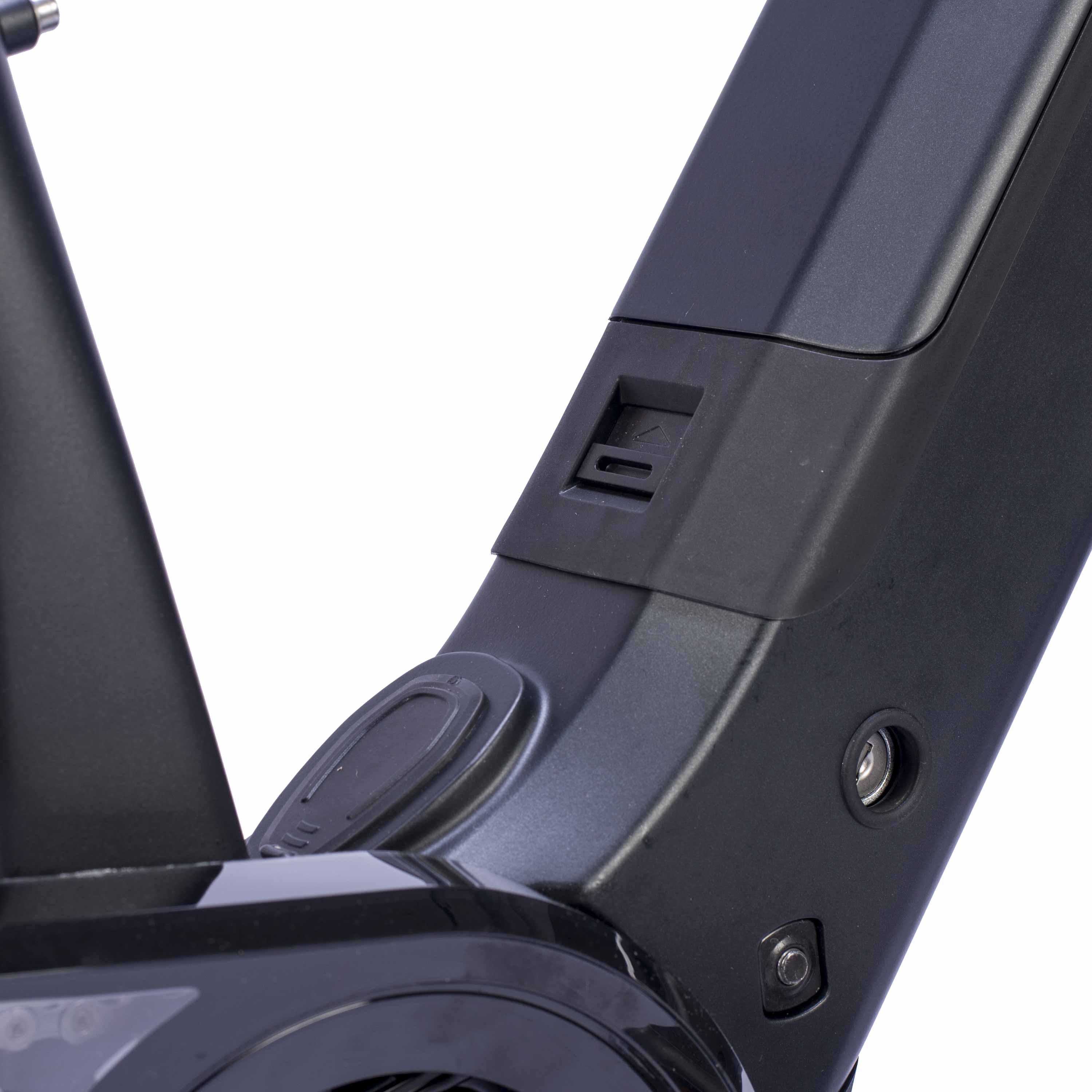 28" dames e-bike stadsfiets LS Wave TERRA CT2 BOSCH Performance Line Smart System Powertube 600 Wh 8-versnellingen SHIMANO NEXUS terugtraprem