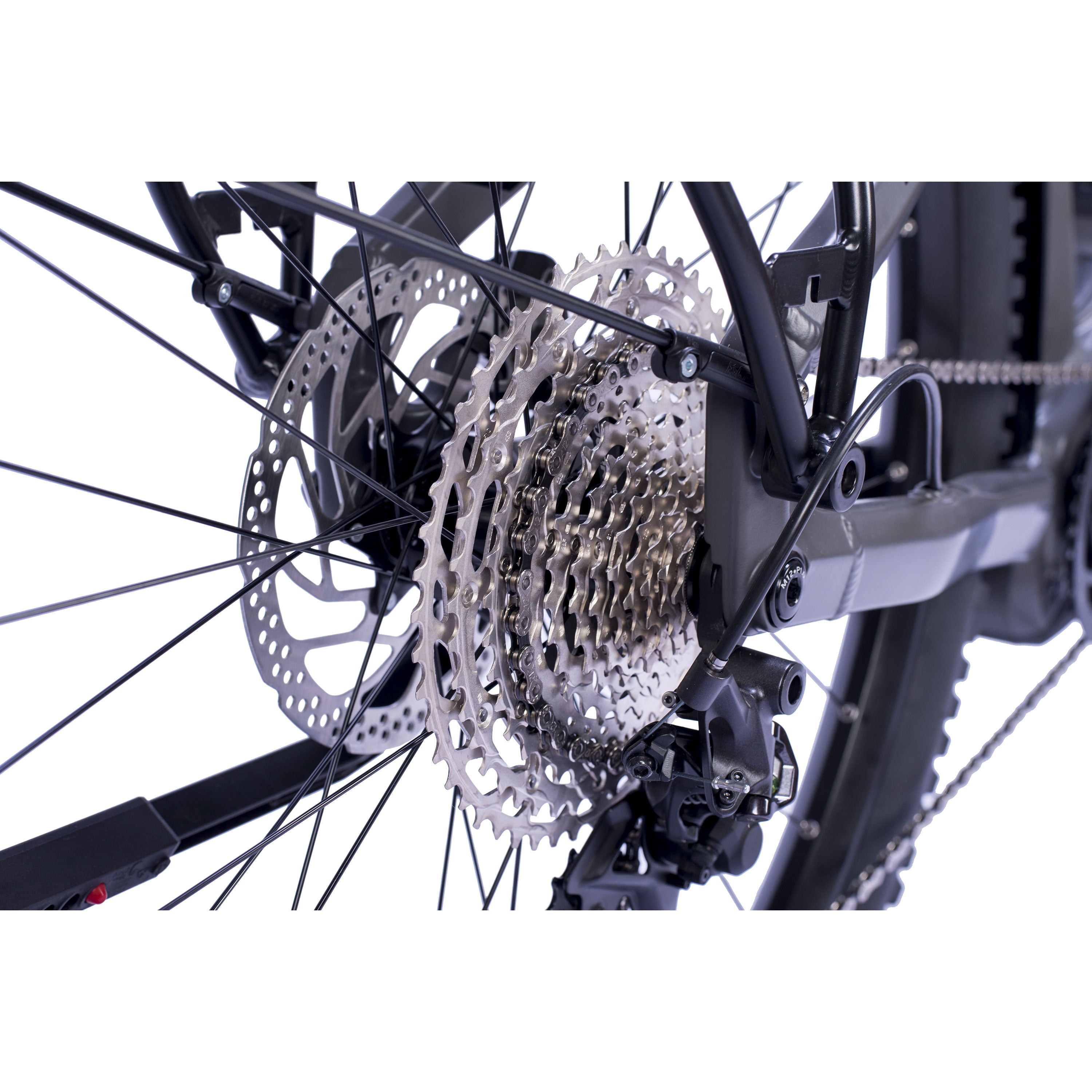 29" Heren E-SUV MTB STREAMER CX12 BOSCH Performance Line CX (Gen 5) Smart System POWERTUBE 800 Wh 12-speed SHIMANO XT RD-M8100 SGS